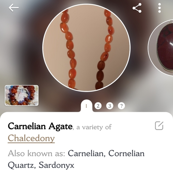 Carnelian Amber Tumbled Rocks Chip Stones Long Semi Precious Lariat Necklace NEW - Picture 9 of 9